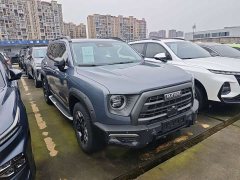 Great Wall Dachshund 2.0T DCT Four-Wheel Drive Howling Celestial Dog Edition - ფოტო 3