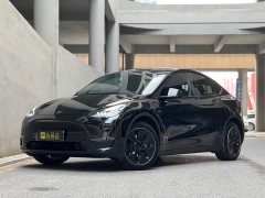 Tesla Model Y Long Range All-Wheel Drive - ფოტო 1