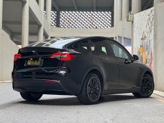 Tesla Model Y Long Range All-Wheel Drive - ფოტო 2