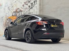 Tesla Model Y Long Range All-Wheel Drive - ფოტო 4