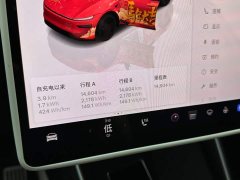 Tesla Model Y Rear-Wheel Drive - ფოტო 14