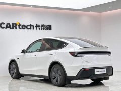 Tesla Model Y Rear-Wheel Drive - ფოტო 3