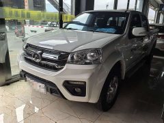 Fengjun 5 2.0TAWD VersionVI GW4D20M - photo 1