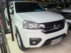 Fengjun 5 2.0TAWD VersionVI GW4D20M - photo 3