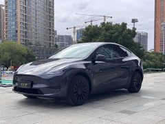 Tesla Model Y Rear-Wheel Drive - ფოტო 1