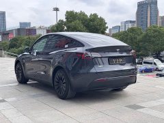 Tesla Model Y Rear-Wheel Drive - ფოტო 7