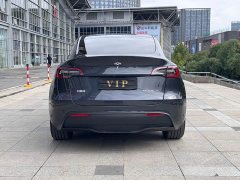 Tesla Model Y Rear-Wheel Drive - ფოტო 8