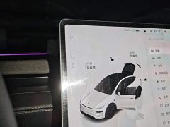 Tesla Model Y Rear-Wheel Drive Launch Edition - ფოტო 16
