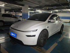 Tesla Model Y Rear-Wheel Drive Launch Edition - ფოტო 2