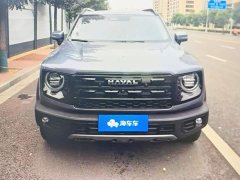 Great Wall Dachshund 2026 1.5T DCT Border Collie Edition - ფოტო 2