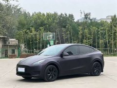 Tesla Model Y Rear-Wheel Drive - ფოტო 1