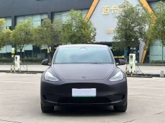 Tesla Model Y Rear-Wheel Drive - ფოტო 2