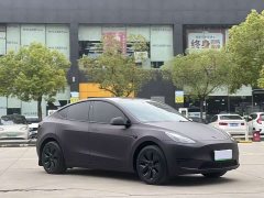 Tesla Model Y Rear-Wheel Drive - ფოტო 3