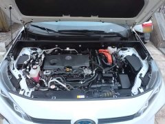 Toyota Wildland New Energy Performance Edition 2.5L AWD Edition - ფოტო 16
