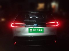 Toyota Wildland New Energy Performance Edition 2.5L AWD Edition - ფოტო 3