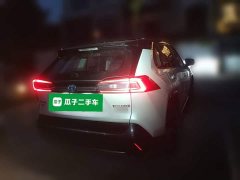 Toyota Wildland New Energy Performance Edition 2.5L AWD Edition - ფოტო 4