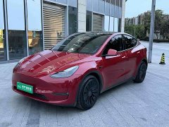 Tesla Model Y Long Range All-Wheel Drive - ფოტო 1