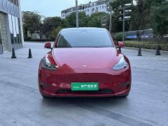 Tesla Model Y Long Range All-Wheel Drive - ფოტო 2