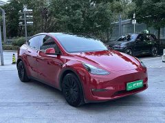 Tesla Model Y Long Range All-Wheel Drive - ფოტო 3