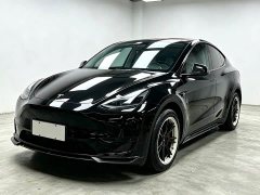 Tesla Model Y Rear-Wheel Drive - ფოტო 1