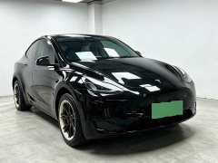 Tesla Model Y Rear-Wheel Drive - ფოტო 3