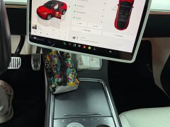 Tesla Model Y Rear-Wheel Drive - ფოტო 9