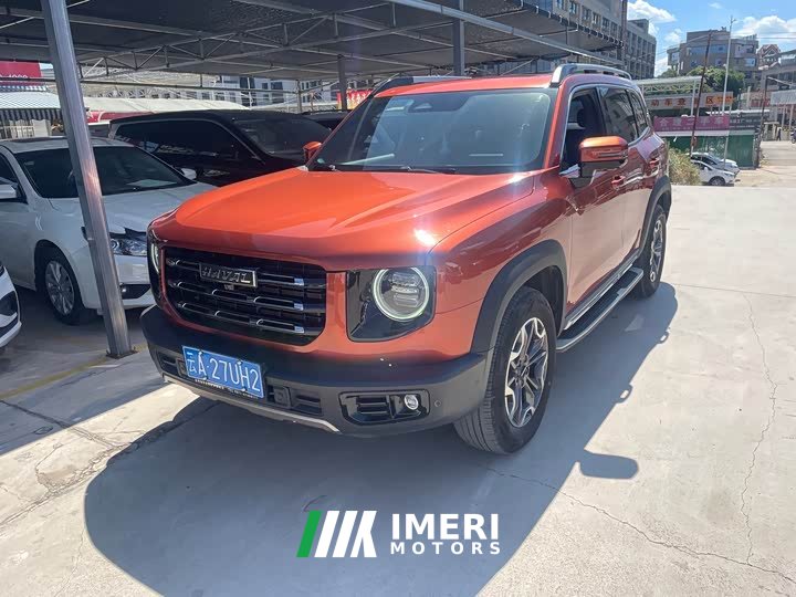 Great Wall Dachshund 2.0T DCT Four-Wheel Drive Chinese Rural Dog Edition - ავტომობილი ჩინეთიდან