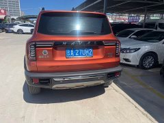 Great Wall Dachshund 2.0T DCT Four-Wheel Drive Chinese Rural Dog Edition - ფოტო 6