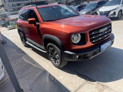 Great Wall Dachshund 2.0T DCT Four-Wheel Drive Chinese Rural Dog Edition - ფოტო 8