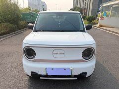 Geely Panda Mini 200km Endurance Edition - ფოტო 2