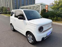 Geely Panda Mini 200km Endurance Edition - ფოტო 3