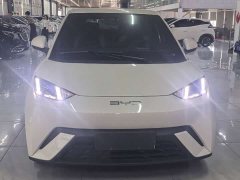 BYD Seagull Flying Edition - ფოტო 1