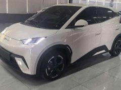 BYD Seagull Flying Edition - ფოტო 8