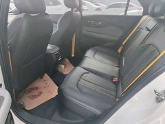 Trumpchi Leopard 270T DCT J10 Flying Man Edition - ფოტო 5