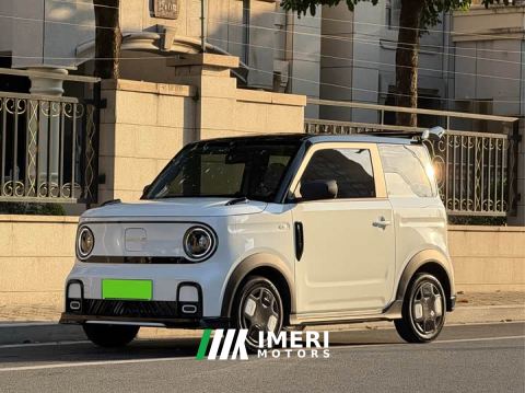 2025 Geely Panda 210km Panda Kart