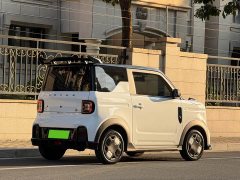 Geely Panda 210km Panda Kart - ფოტო 10