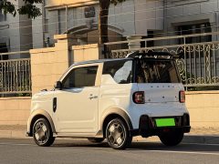 Geely Panda 210km Panda Kart - ფოტო 12