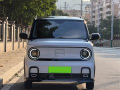 Geely Panda 210km Panda Kart - ფოტო 2