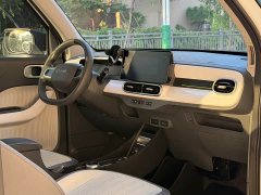 Geely Panda 210km Panda Kart - ფოტო 8