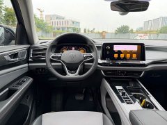 Volkswagen Teramont X 330TSI RWD Luxury Edition - ფოტო 8