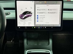 Tesla Model Y 2023 Rear-Wheel Drive - ფოტო 11
