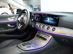 Mercedes-Benz CLS 300 AMG Dynamic - ფოტო 7