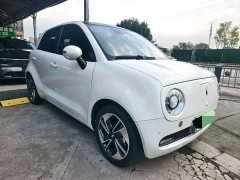 ORA Black Cat 351km Comfort Edition Ternary Lithium - ფოტო 3