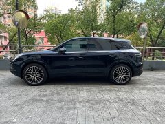 Porsche Cayenne 3.0T Platinum Edition - ფოტო 18