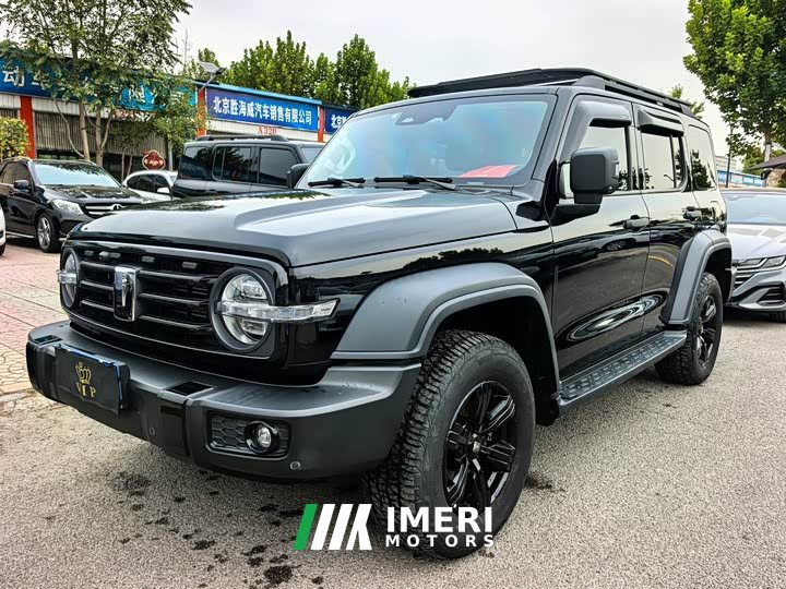 Tank 300 2023 Off-Road Edition 2.0T Conqueror - ავტომობილი ჩინეთიდან