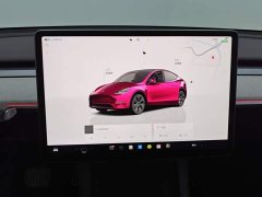 Tesla Model Y Rear-Wheel Drive - ფოტო 14