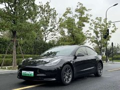 Tesla Model 3 Standard Range RWD Upgrade 3D6 - ფოტო 1