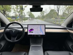Tesla Model 3 Standard Range RWD Upgrade 3D6 - ფოტო 15