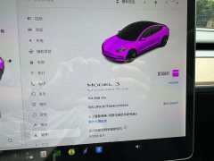 Tesla Model 3 Standard Range RWD Upgrade 3D6 - ფოტო 16