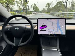Tesla Model 3 Standard Range RWD Upgrade 3D6 - ფოტო 19